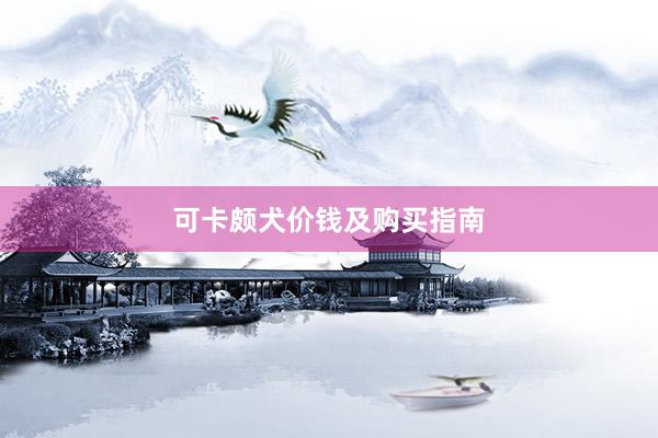 可卡颇犬价钱及购买指南