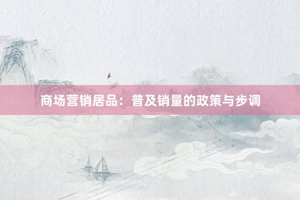 商场营销居品：普及销量的政策与步调